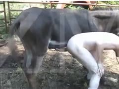 Cock addicted slender man getting anal drilled by a mule in this outstanding brute fetish flick